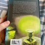 First edition Hardback:  Harry Potter & the half blood prince Image 10