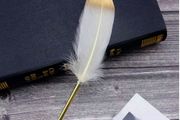 White &amp; Gold Feather Pen - nice gift