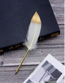 White & Gold Feather Pen - nice gift