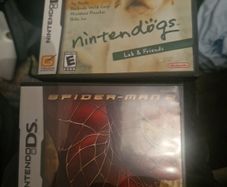 nintendo ds games