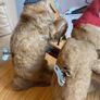 Vintage Max Carl West Germany Wind-Up Monkeys Image 6