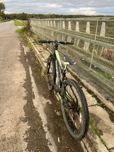 26 inch bike