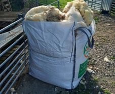 Free Sheep Wool