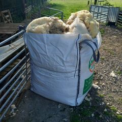 Free Sheep Wool