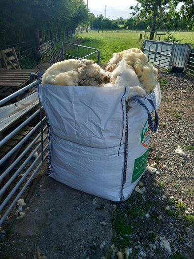 Free Sheep Wool