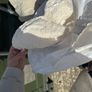 Ivory Wedding Dress Image 10