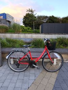 Bike