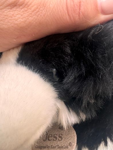 Keel Toys Jessie Border Collie Black White Dog Soft Plush approx. 25 cm. Blue Collar Used Please see photos