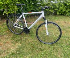 Focus Lost Lagoon (mountain/hybrid) Fully Serviced
