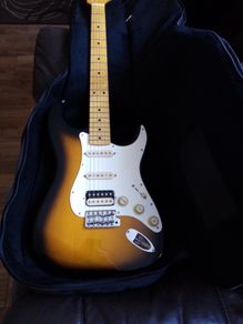 Electric gig bag strat tele LP