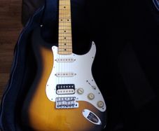 Electric gig bag strat tele LP