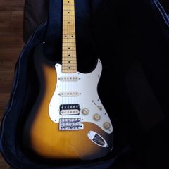 Electric gig bag strat tele LP