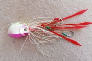 Fishing Jig