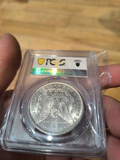1884-O Morgan dollar