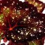 Begonia Image 2