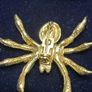 brooch Image 3