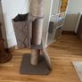 cat scratch post Image 6
