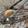 bike Image 3
