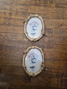 frames