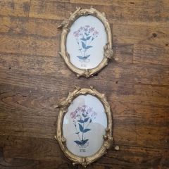 frames