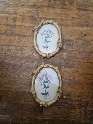 frames