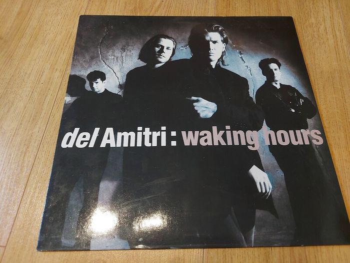Del Amitri - Waking Hours - Vinyl Record + hundreds more