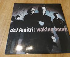 Del Amitri - Waking Hours - Vinyl Record + hundreds more