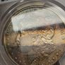 USA United States Silver 1887 O Morgan Dollar PCGS Uncirculated Details Beautiful Toning Image 4
