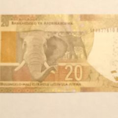 South African Banknote