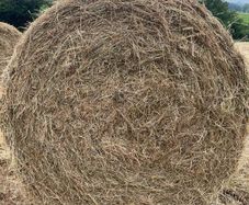 Hay bales