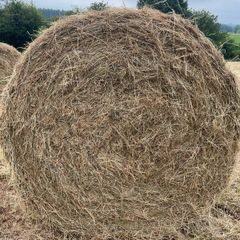Hay bales