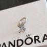 Pandora charm Image 2