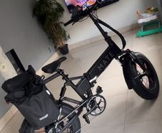 Mate electric bike