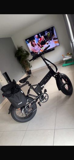 Mate electric bike