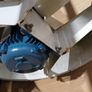 fans Image 5