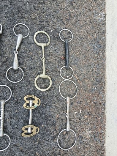 horse bits