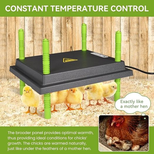 Chick Brooder Heating Plate, 10"x12"Chicken Brooder Heater with Adjustable Height for Baby Chick & Duckling, 20W Brooder Plate for Up to 15 Chick, Replacement Heat Lamp Warm Like Mother Hen