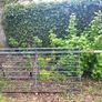 Wrought iron gate Image 4