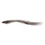 Maybelline Brow Precise Fibre Filler - Medium Brown - New Image 3
