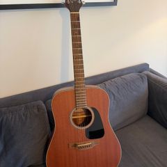 Takamine Guitar