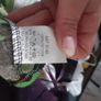 Made in Italy shorts camouflage look fits s sm Image 3