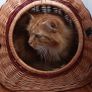 2 in 1 /cat cage&carrier for small dog/ medium dog carrier available Image 3