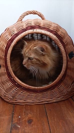 2 in 1 /cat cage&carrier for small dog/ medium dog carrier available