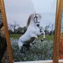 Large Vintage Equestrian Pictures Image 5