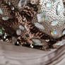 Little Mistress Occasion Dress Sz 8uk Image 5