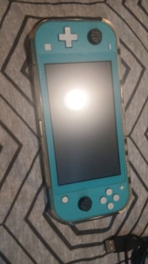 nintendo ds lite
