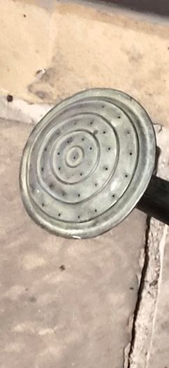 old zinc watering can