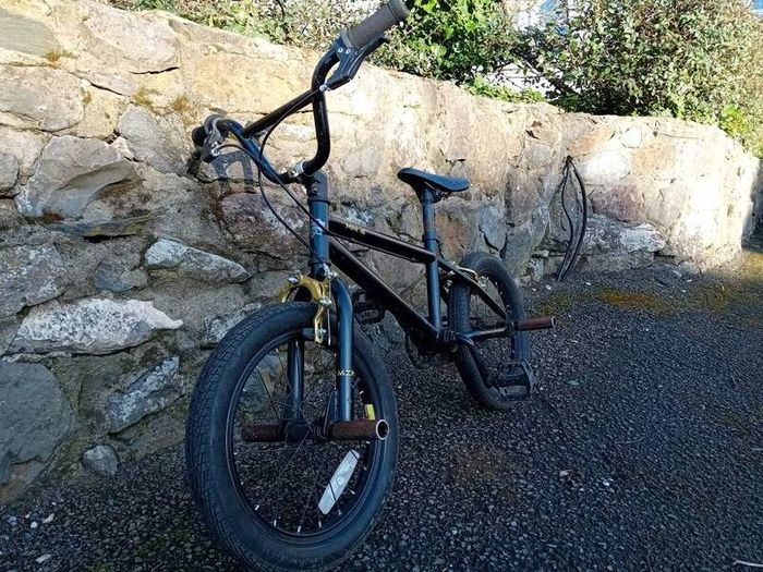 16 inch bmx with pegs