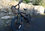 16 inch bmx with pegs