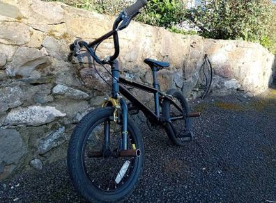 16 inch bmx with pegs